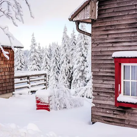 Dom wakacyjny Ferienhaeuser, Harz *