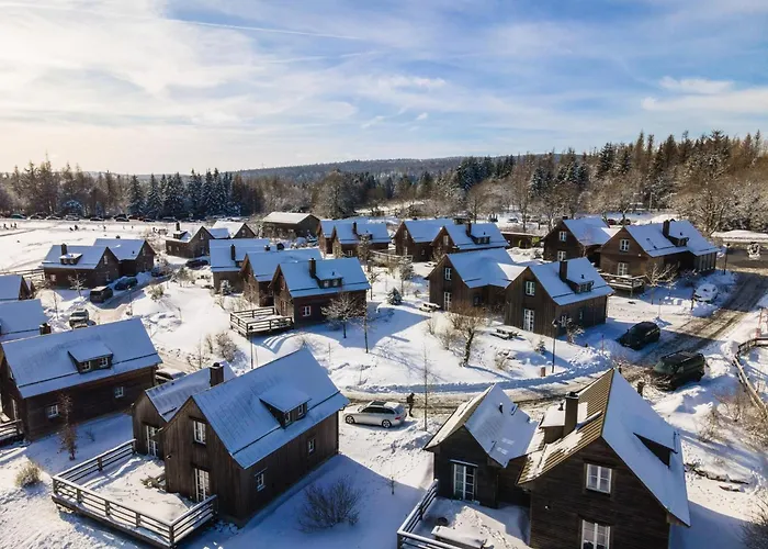 度假居 Ferienhaeuser, Harz 托夫豪斯
