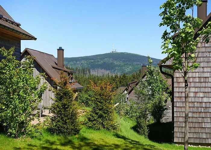 Ferienhaeuser, Harz 度假居 *