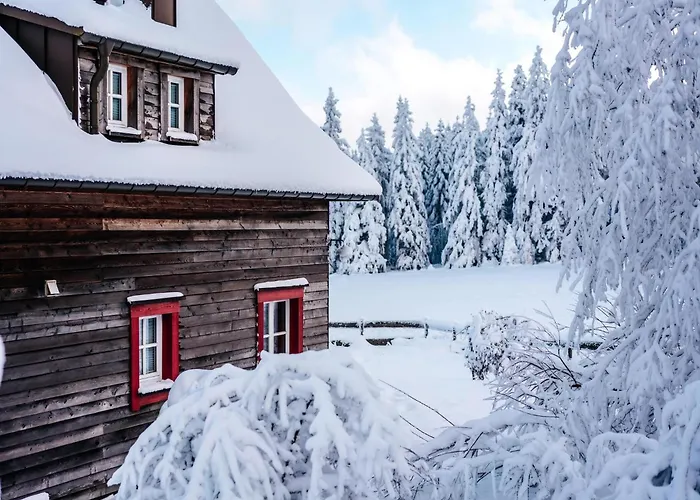 Ferienhaeuser, Harz 托夫豪斯
