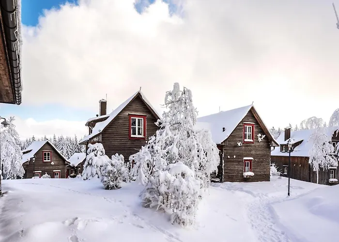 度假居 Ferienhaeuser, Harz 托夫豪斯